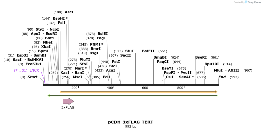 133429_map