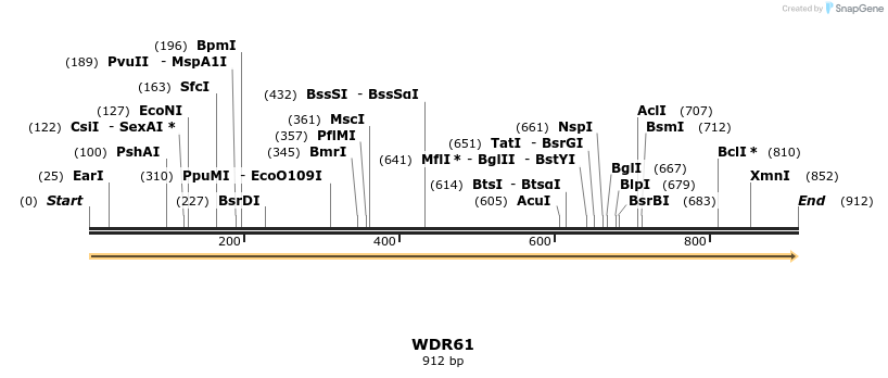 13343_map