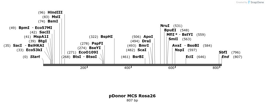 133451_map