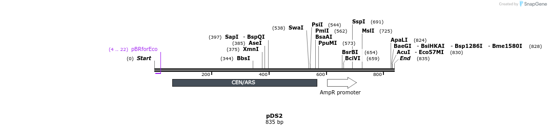 133462_map