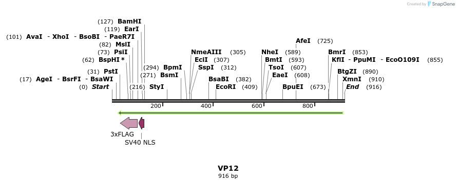 133463_map