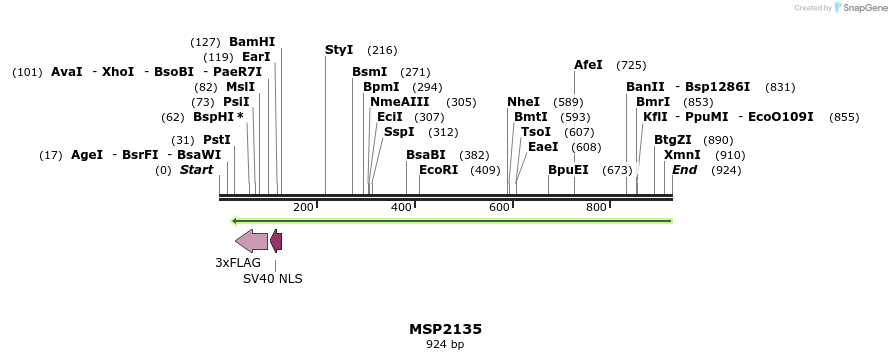 133468_map