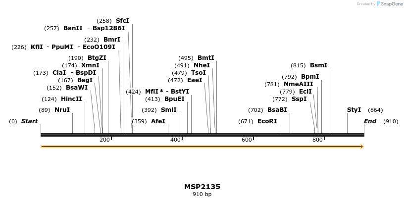 133469_map
