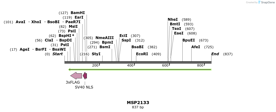 133470_map