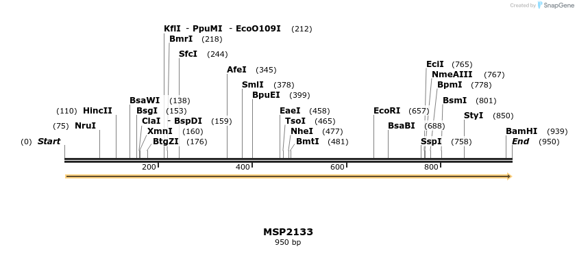 133471_map