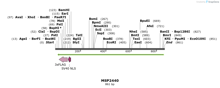 133472_map
