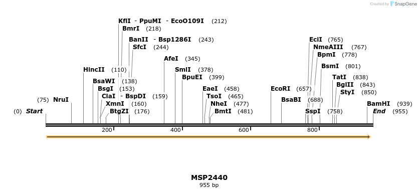 133473_map