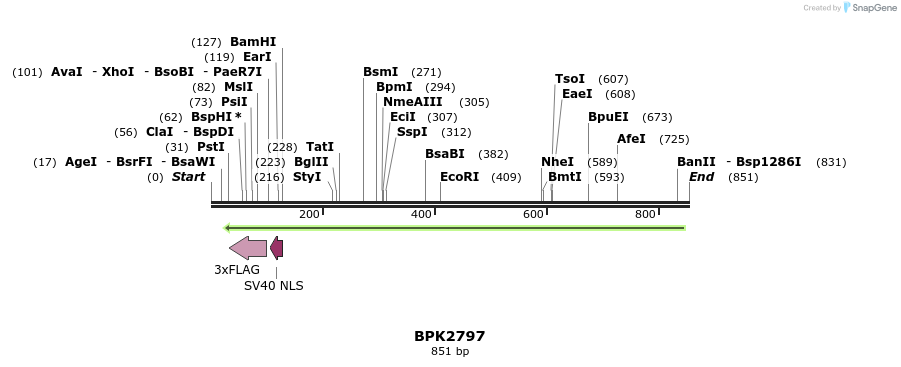 133474_map