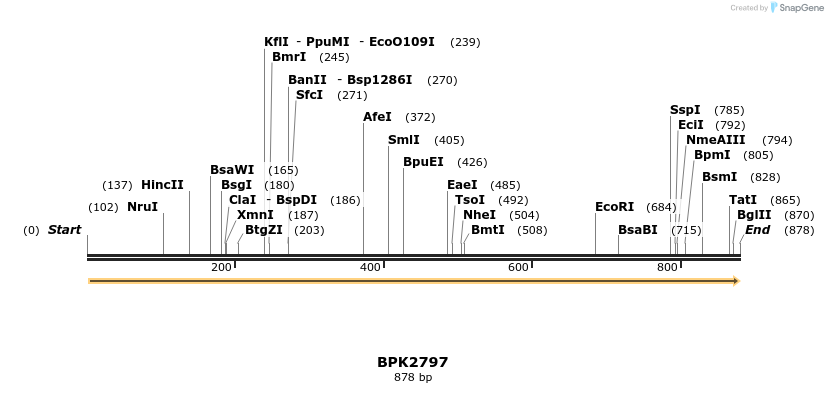 133475_map