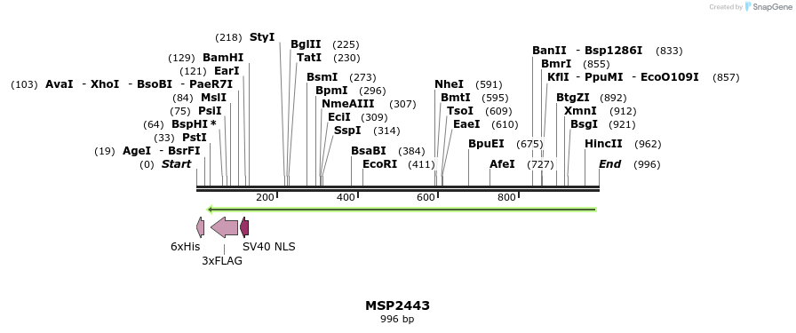 133477_map