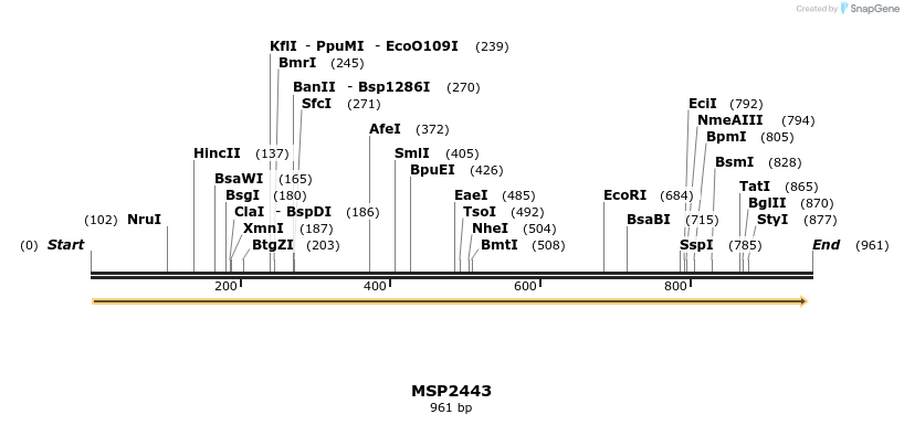 133478_map