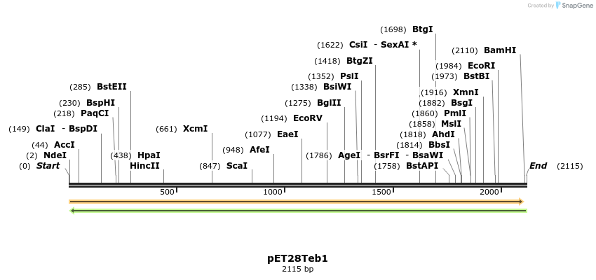 13349_map