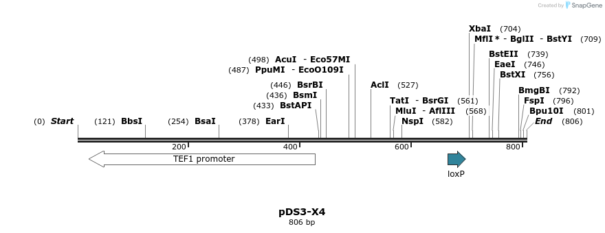 133490_map