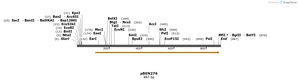 133495_map