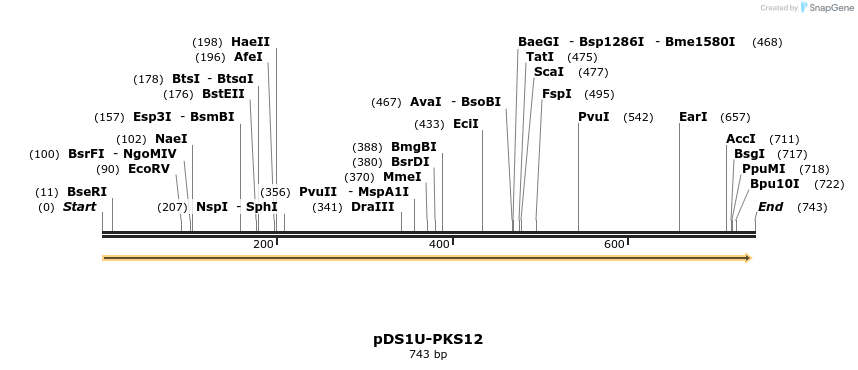 133498_map