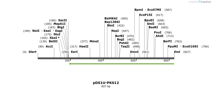 133499_map
