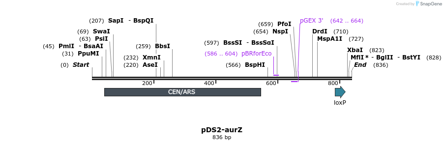 133505_map