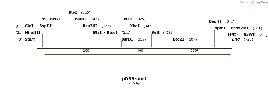 133509_map