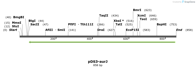 133510_map