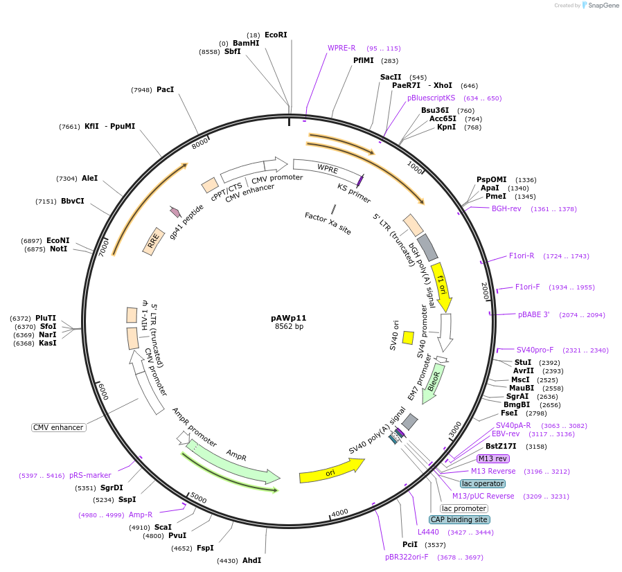 133514_map