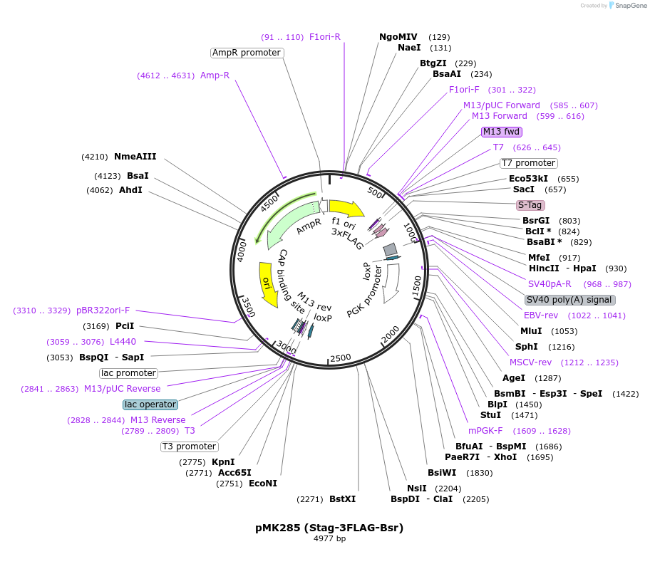 133551_map