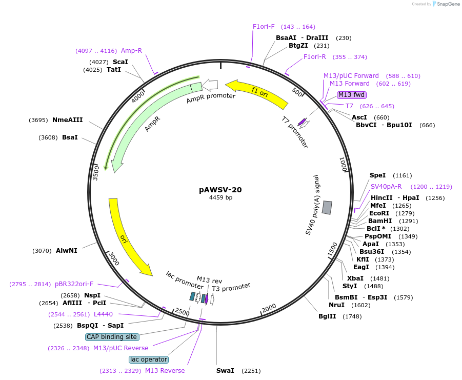 133579_map