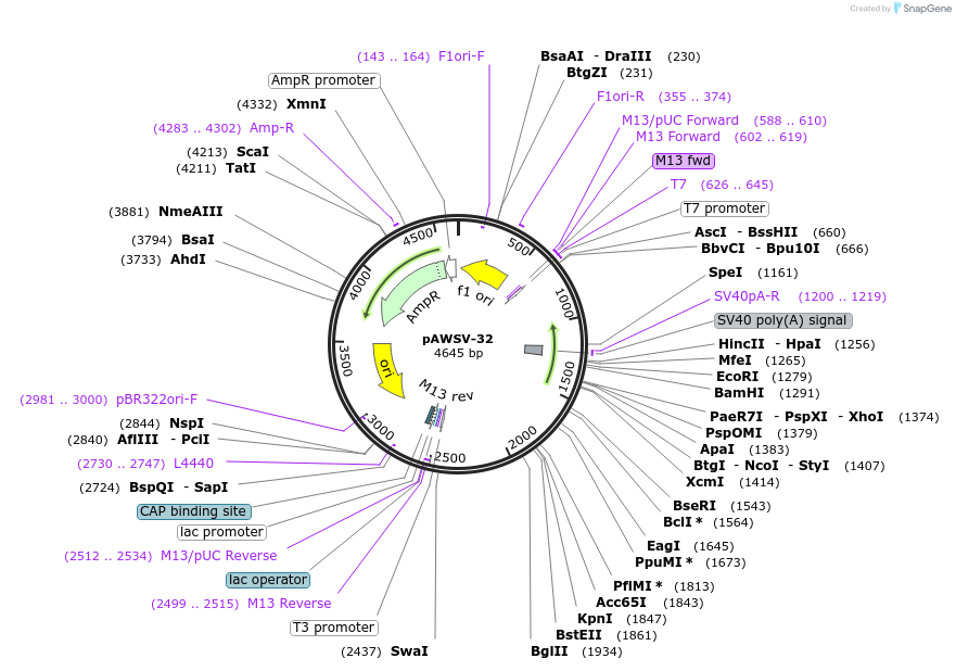 133590_map