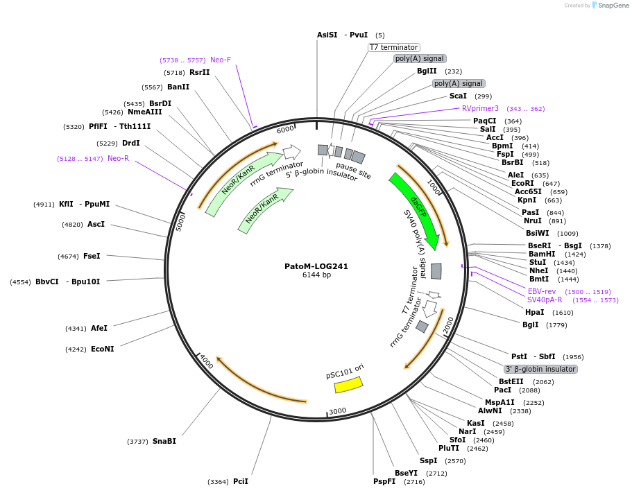 133613_map