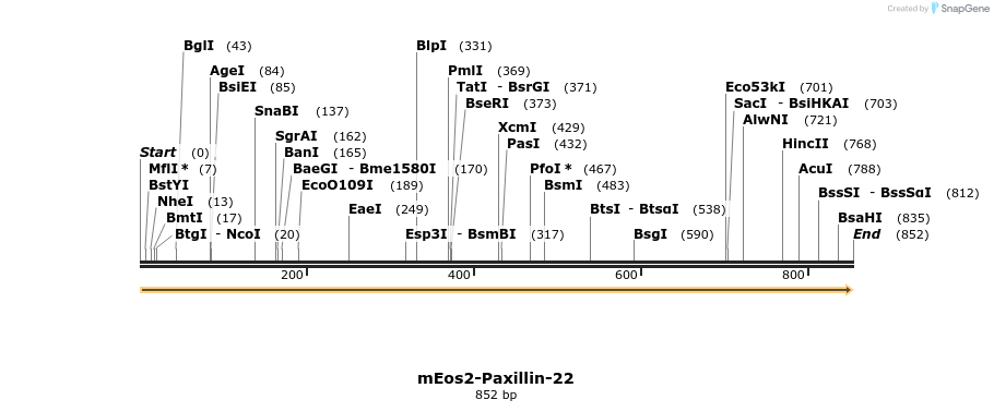133616_map