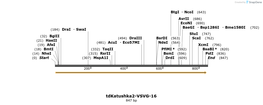 133617_map