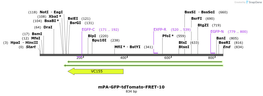 133618_map