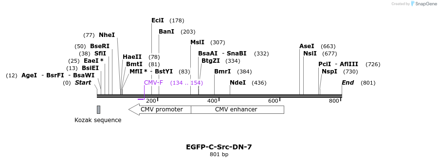 133619_map