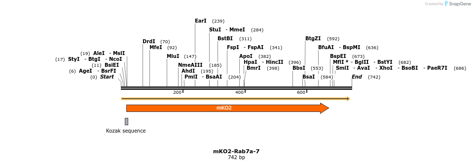 133620_map