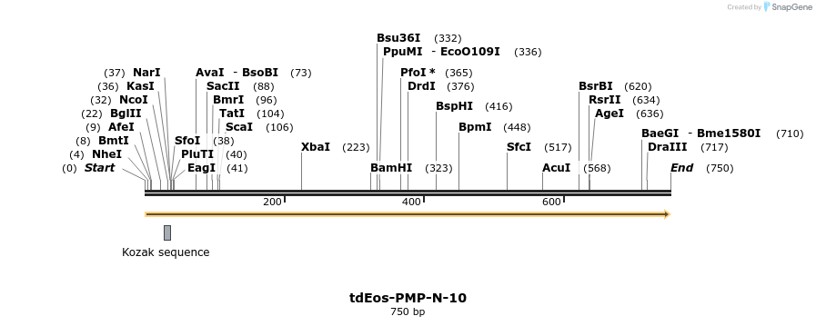 133623_map