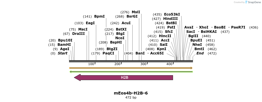 133626_map