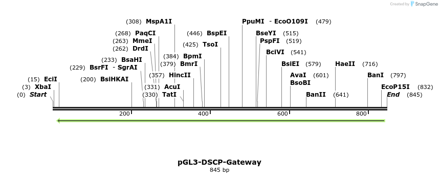 133629_map