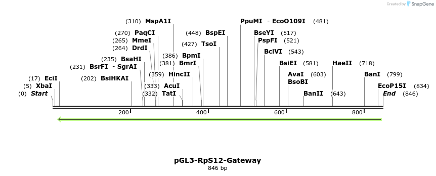 133633_map