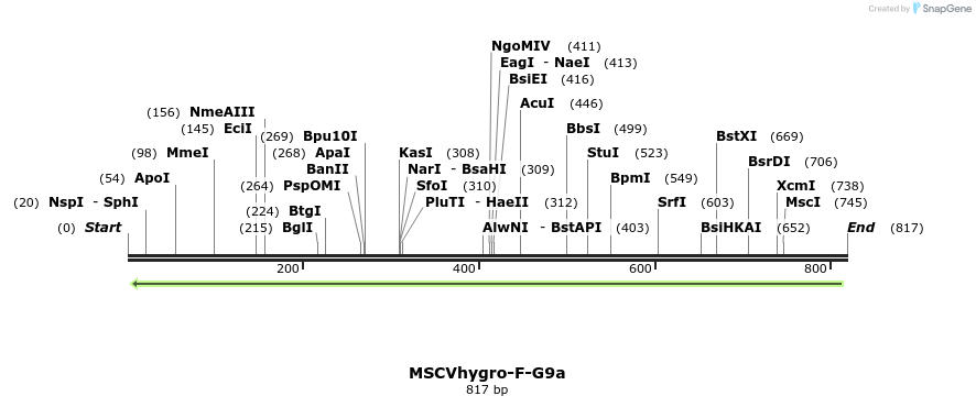 133635_map