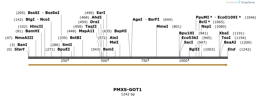 133636_map