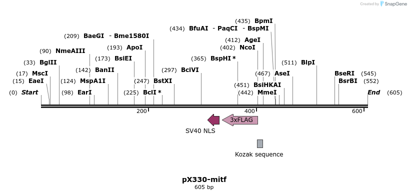 133639_map
