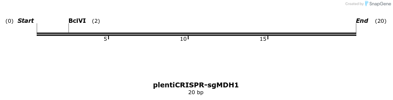 133640_map