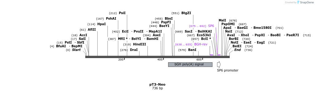 133641_map