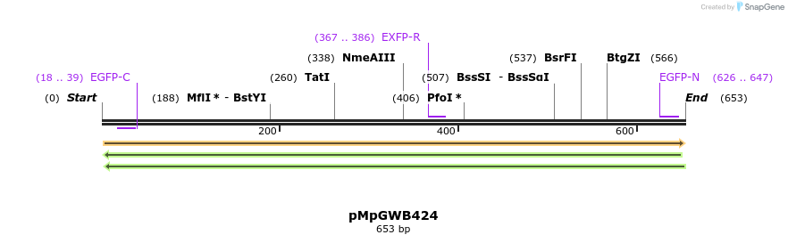 133643_map