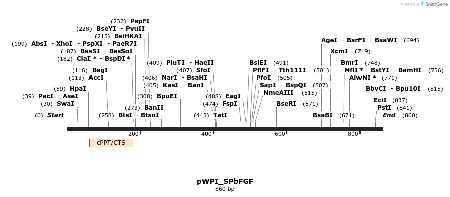 133646_map