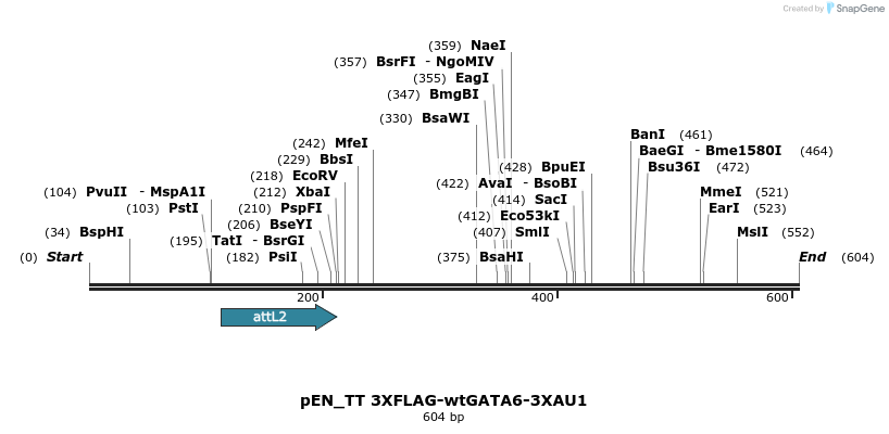 133649_map