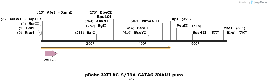 133651_map