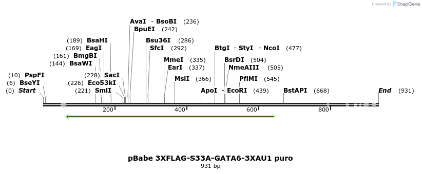 133654_map