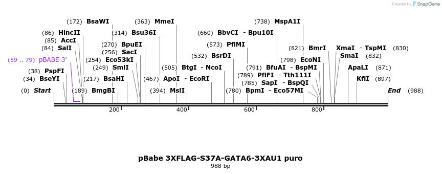 133657_map