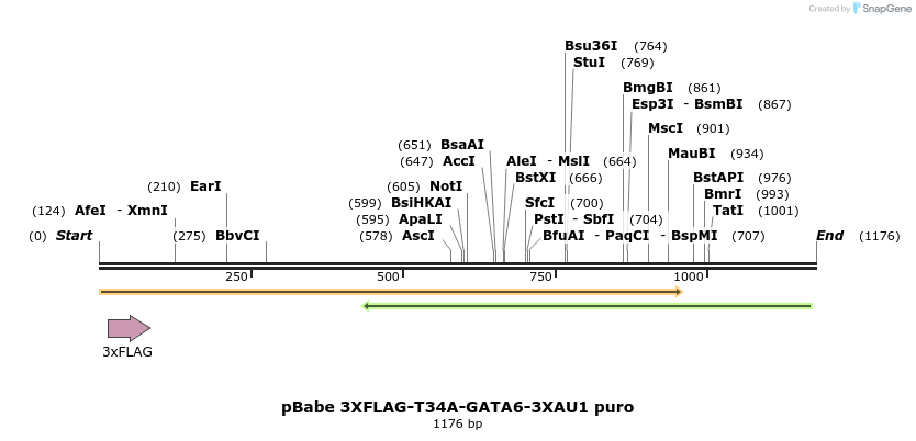 133659_map