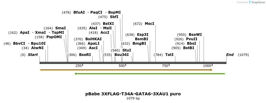 133660_map